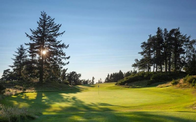 gleneagles golf course tree