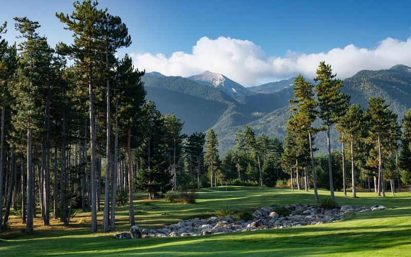 Pirin Golf course trees